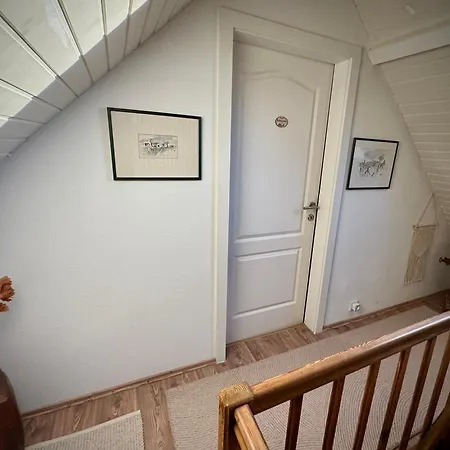 Leitner קיצק אים זאוזל