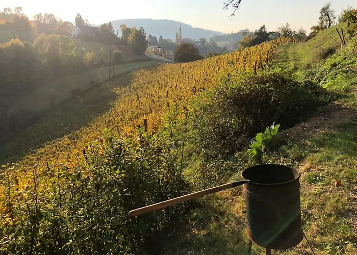 Leitner Kitzeck im Sausal